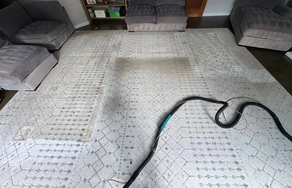 Large area rug halfway through cleaning, the cleaned part visibly brighter